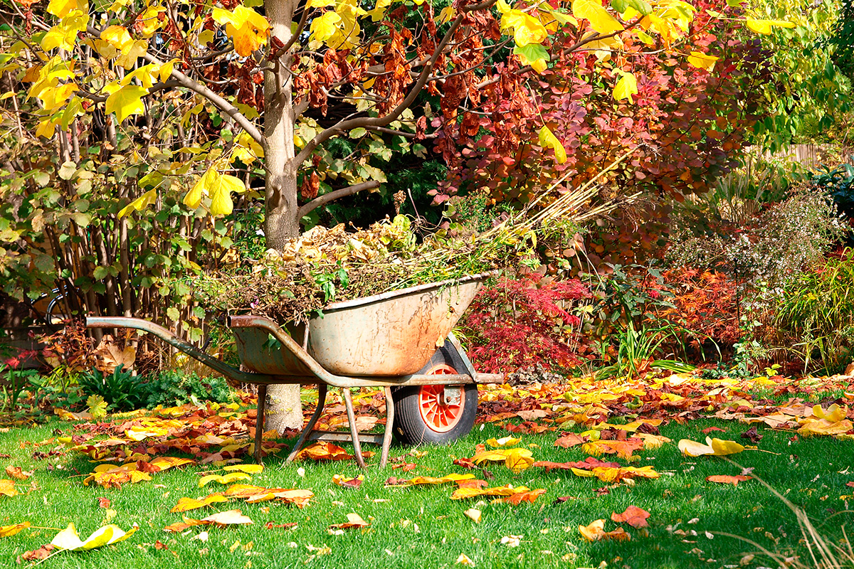 Dette skal du gjøre i hagen i oktober