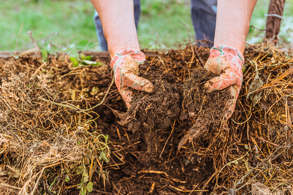 Gjødsel i hagen i oktober