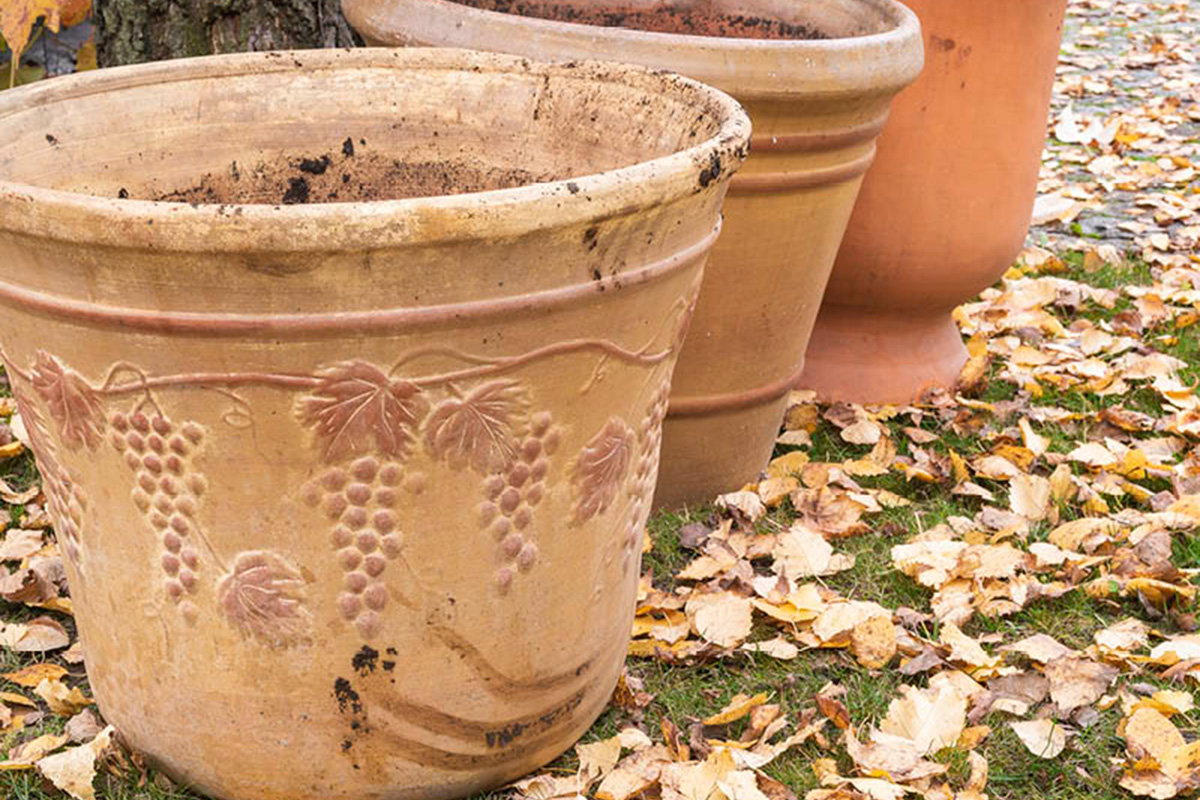 Rydde i hagen i oktober