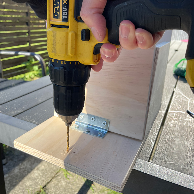 Miten orava talvehtii