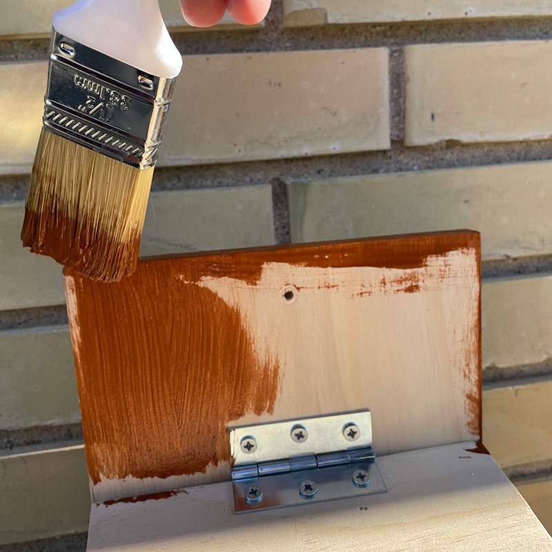 Mitä orava syö talvella