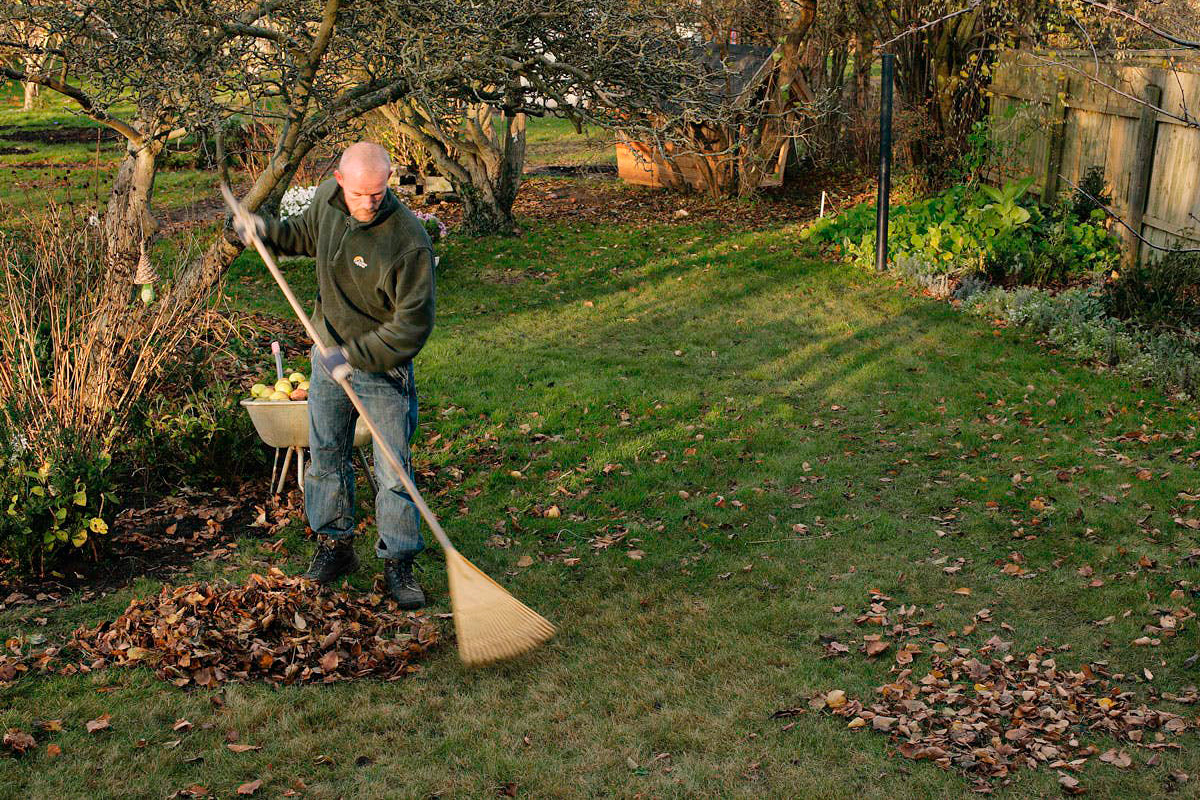 Rake plenen fri for løv og mose i hagen i november