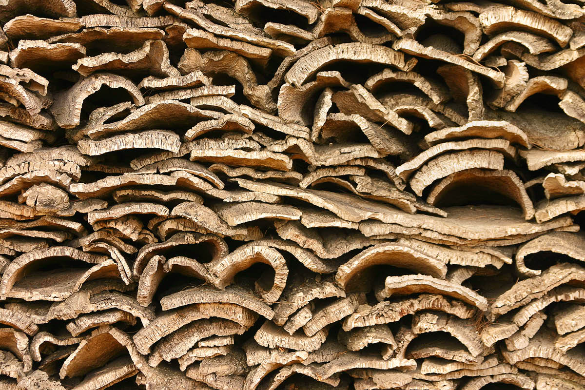 Hvad er kork lavet af?