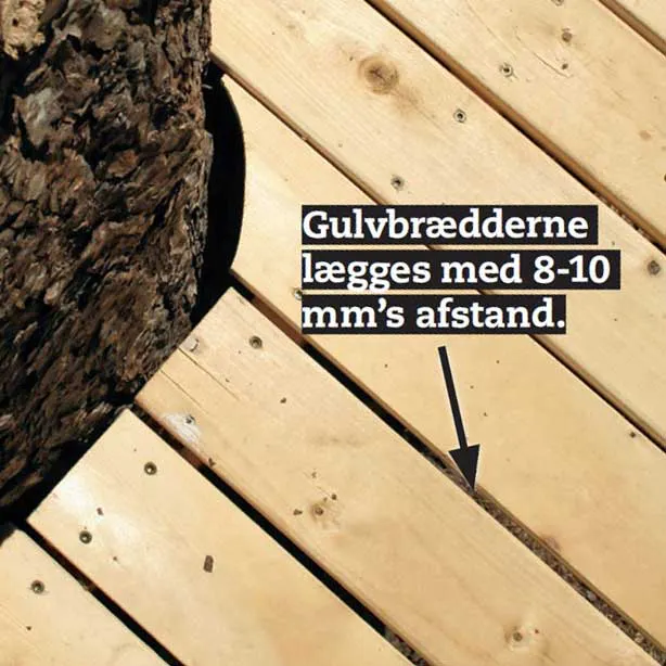 Byg en hytte i et træ til ungerne | goerdetselv.dk