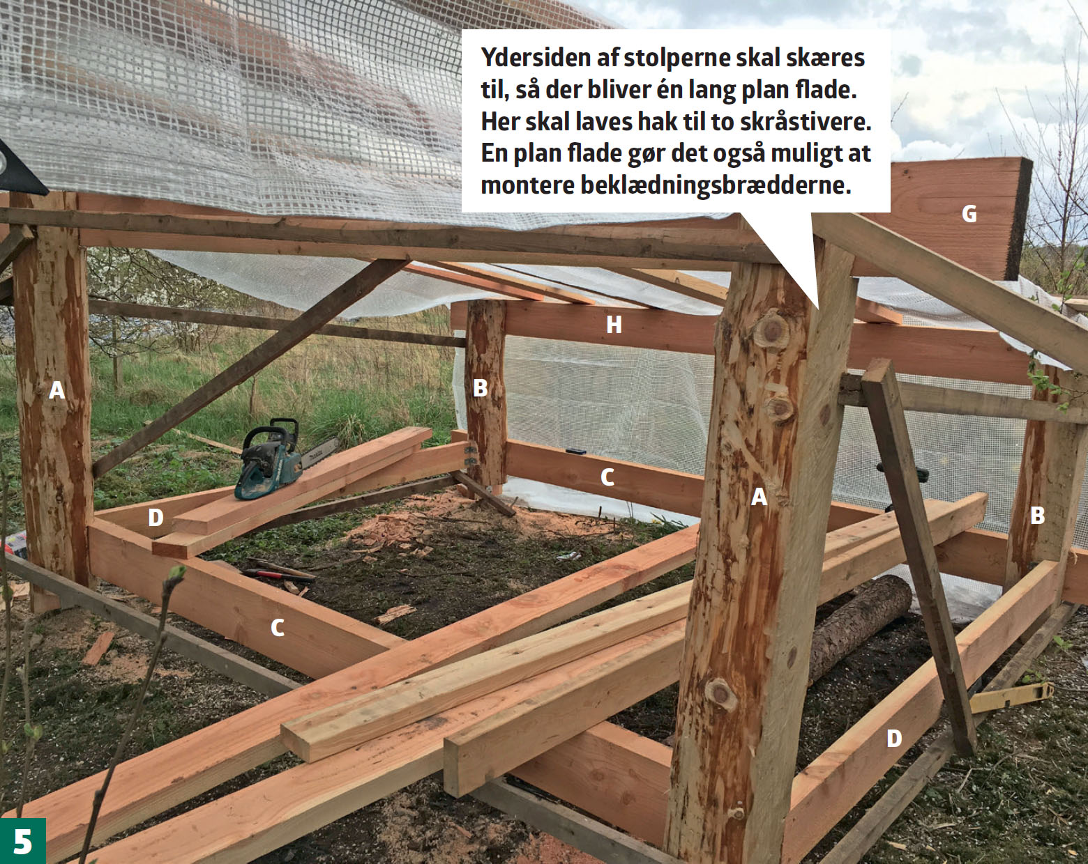 Byg shelter med græstag