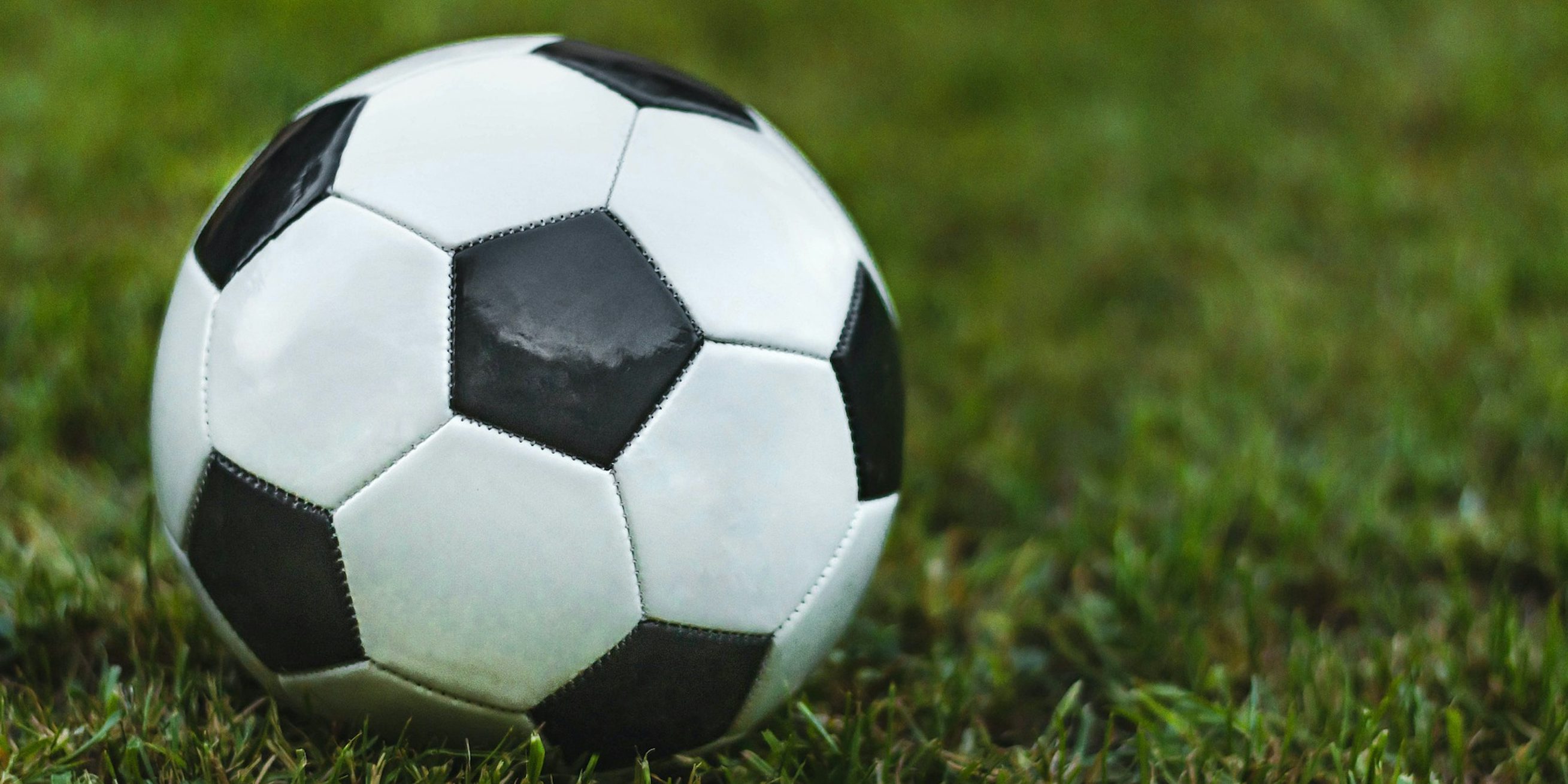 Fodbold Fodbold græs bold