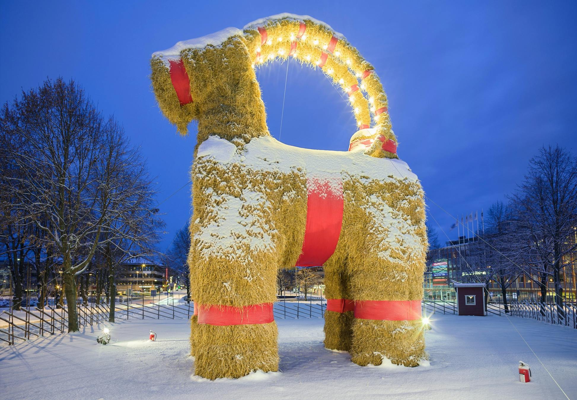 Julpyntets historia | varldenshistoria.se