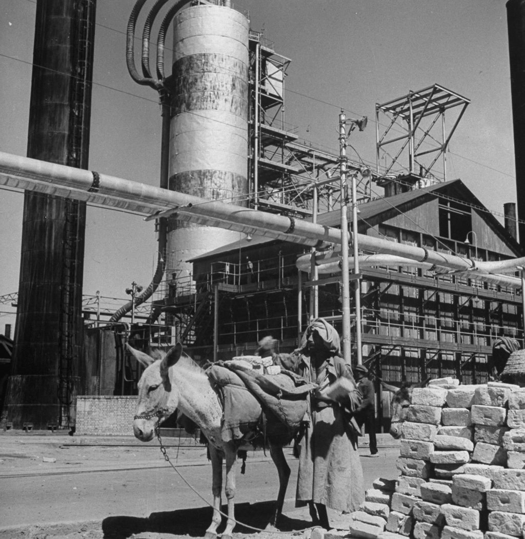 An employee using a burro as he works at