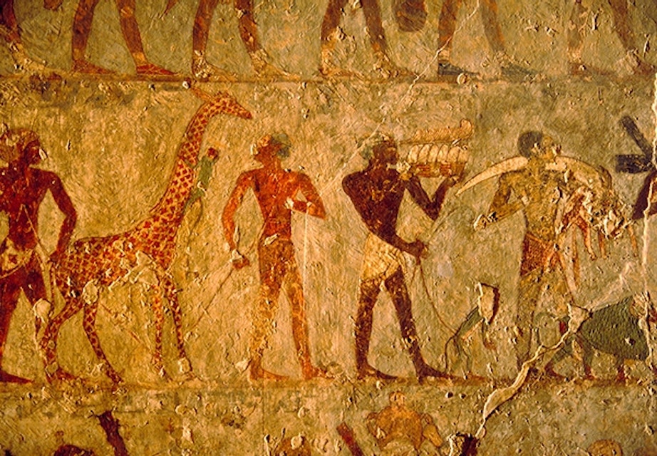 VKontakte, Orenburgda boglangan jinsiy aloqa Seksi sincaplar fotosurati