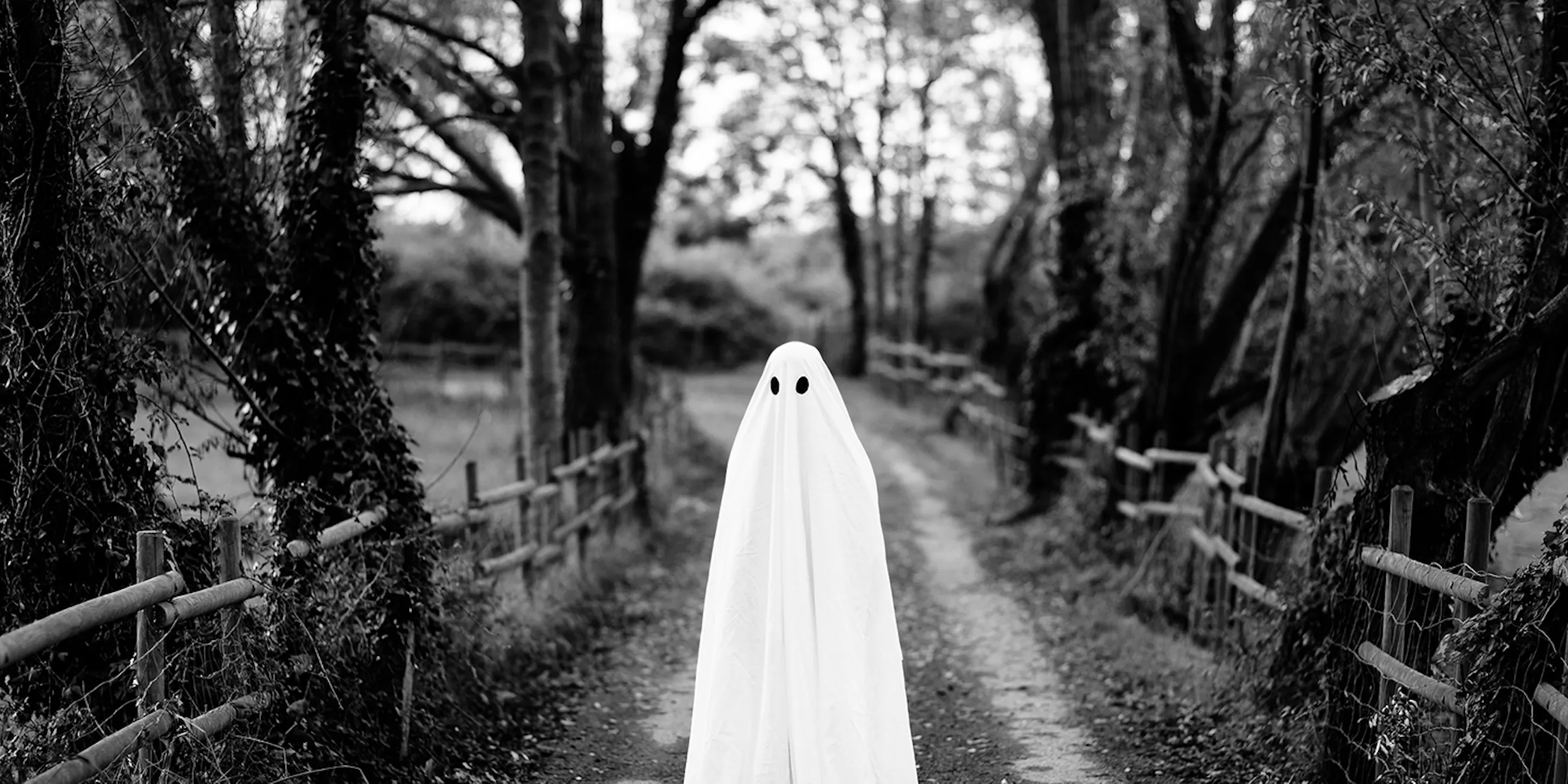 Halloween | Zo ontstond de engste traditie van het jaar | historianet.nl