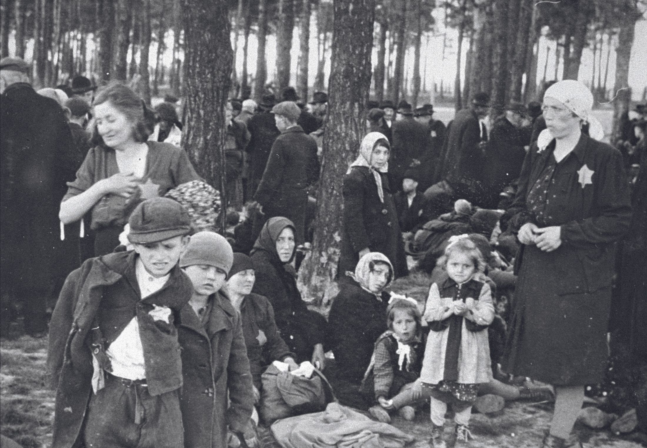 Auschwitz-Birkenau: Nazisternes Dødsfabrik | Historienet.dk