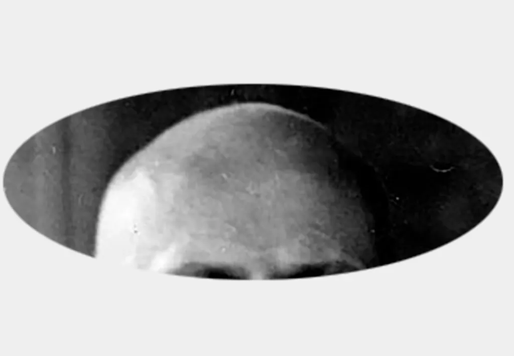 Wat is fascisme? | Van Mussolini en Hitler tot nu | historianet.nl