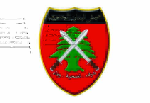 Yigit ayolning mushukini silab, kokraklarini soradi.