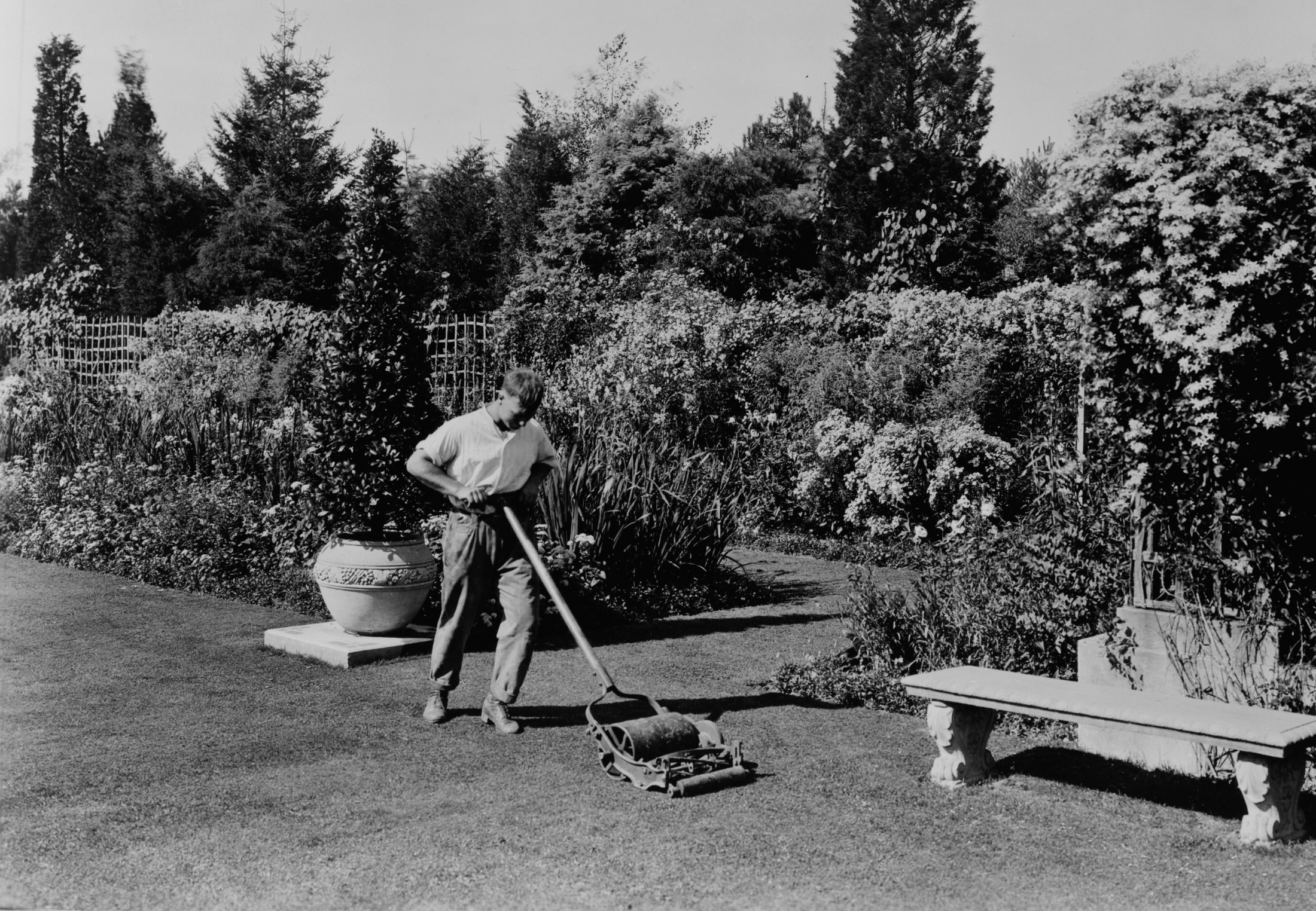 gr-spl-nen-startede-som-et-forsvarsv-rn-historienet-dk