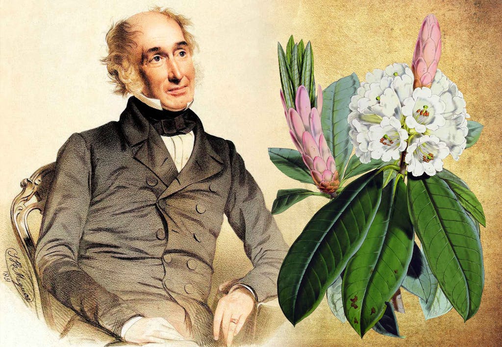 Plantenjagers brachten jou de bloemen in je tuin