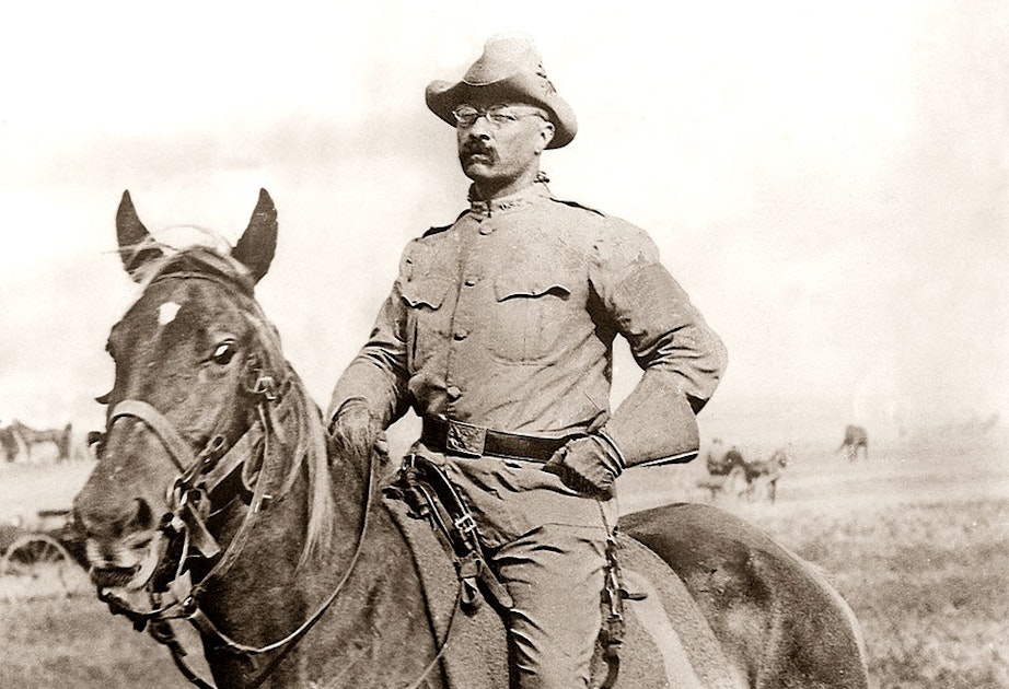 Presidenter i uniform | varldenshistoria.se