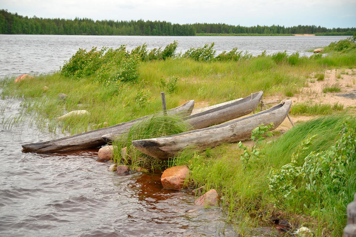 kolme-miljoonaa-vuotta-kivikautta-n-in-esi-is-mme-eliv-t-historianet-fi