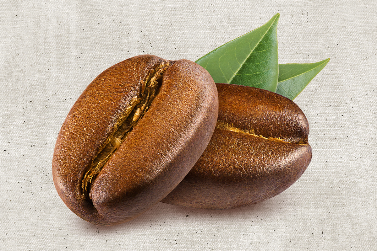 De geschiedenis van koffie: Iedereen in de bonen | historianet.nl