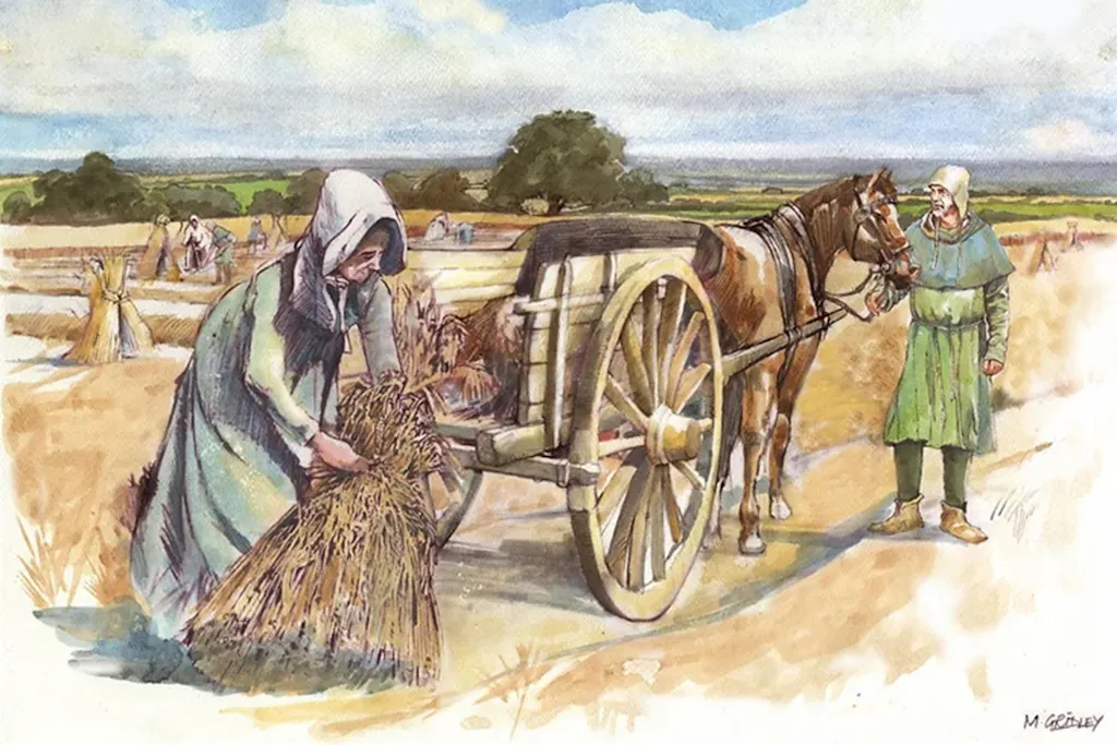 Botanalyses werpen licht op het leven van gewone mensen in de