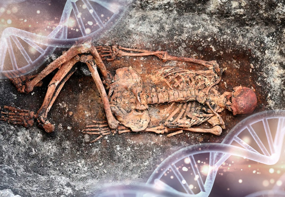 Togri uxlayotgan yigitlar Donetsk viloyatida jinsiy aloqa uchun qiz qidirilmoqda