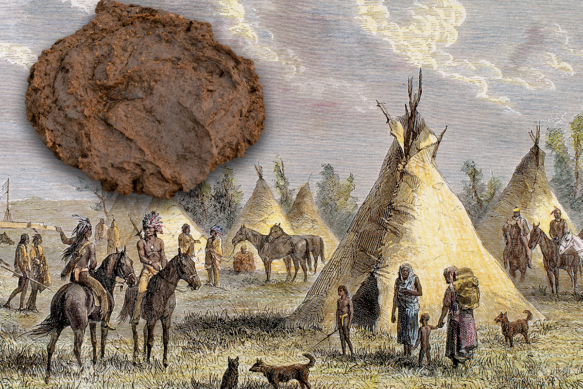 Indianen: De wilde geschiedenis van Zuid- en Noord-Amerika | historianet.nl