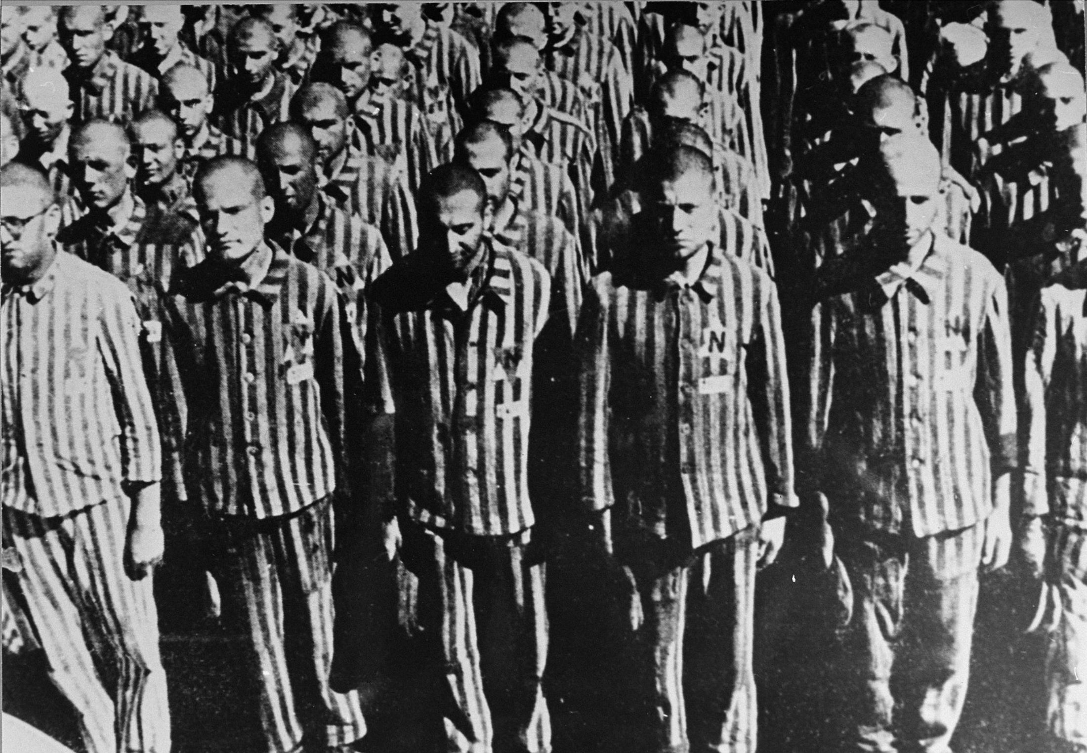 Концентрационный лагерь освенцим. Немецкий лагерь узники. Узники концлагеря дахау. Дахау концентрационный лагерь заключенные. Концлагерь дахау дети узники.