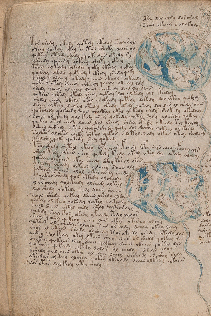 Voynich-manuskript: Middelalderbog handler om sex | historienet.dk