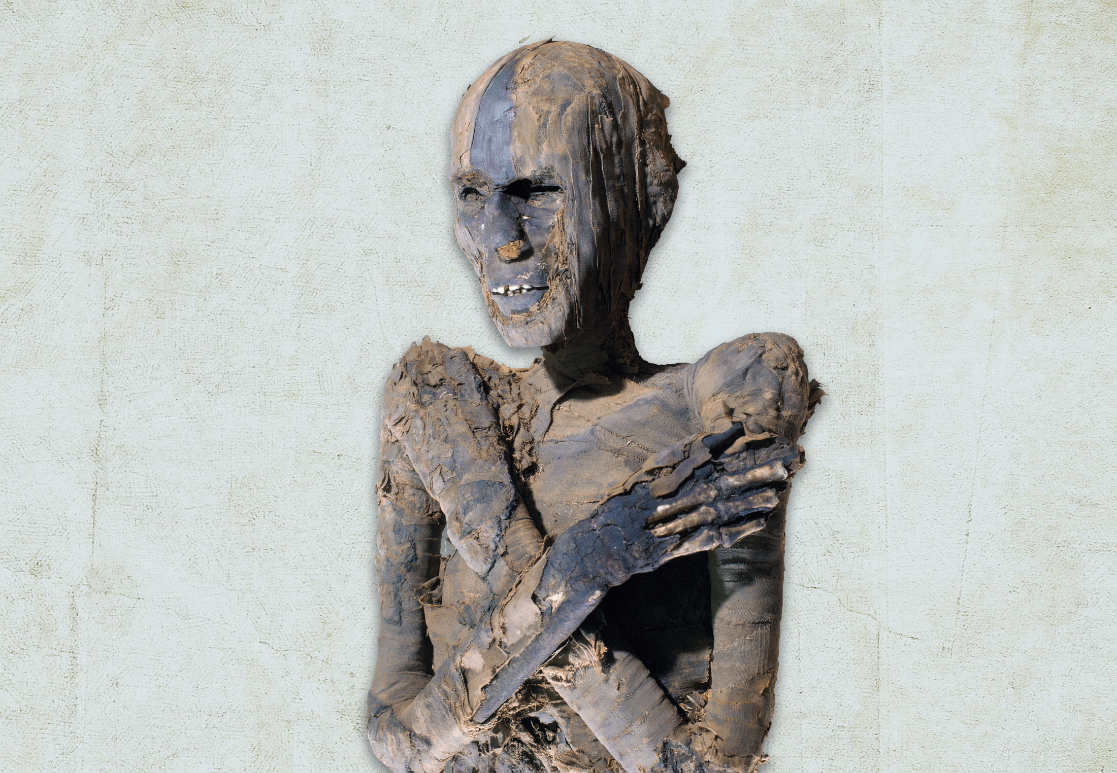 Britten vermaalden botten van de doden tot meststof | historianet.nl