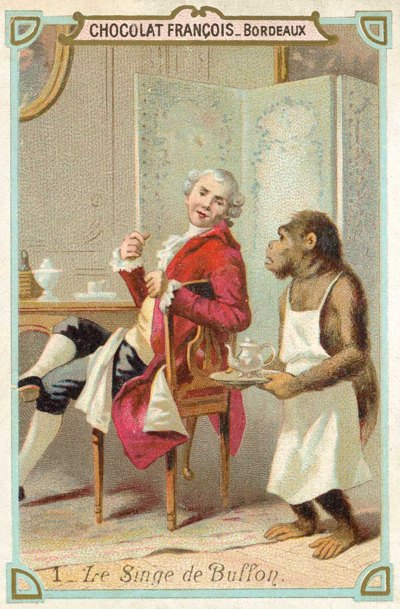 Franskmand kom på sporet af evolutionen 100 år før Darwin | historienet.dk