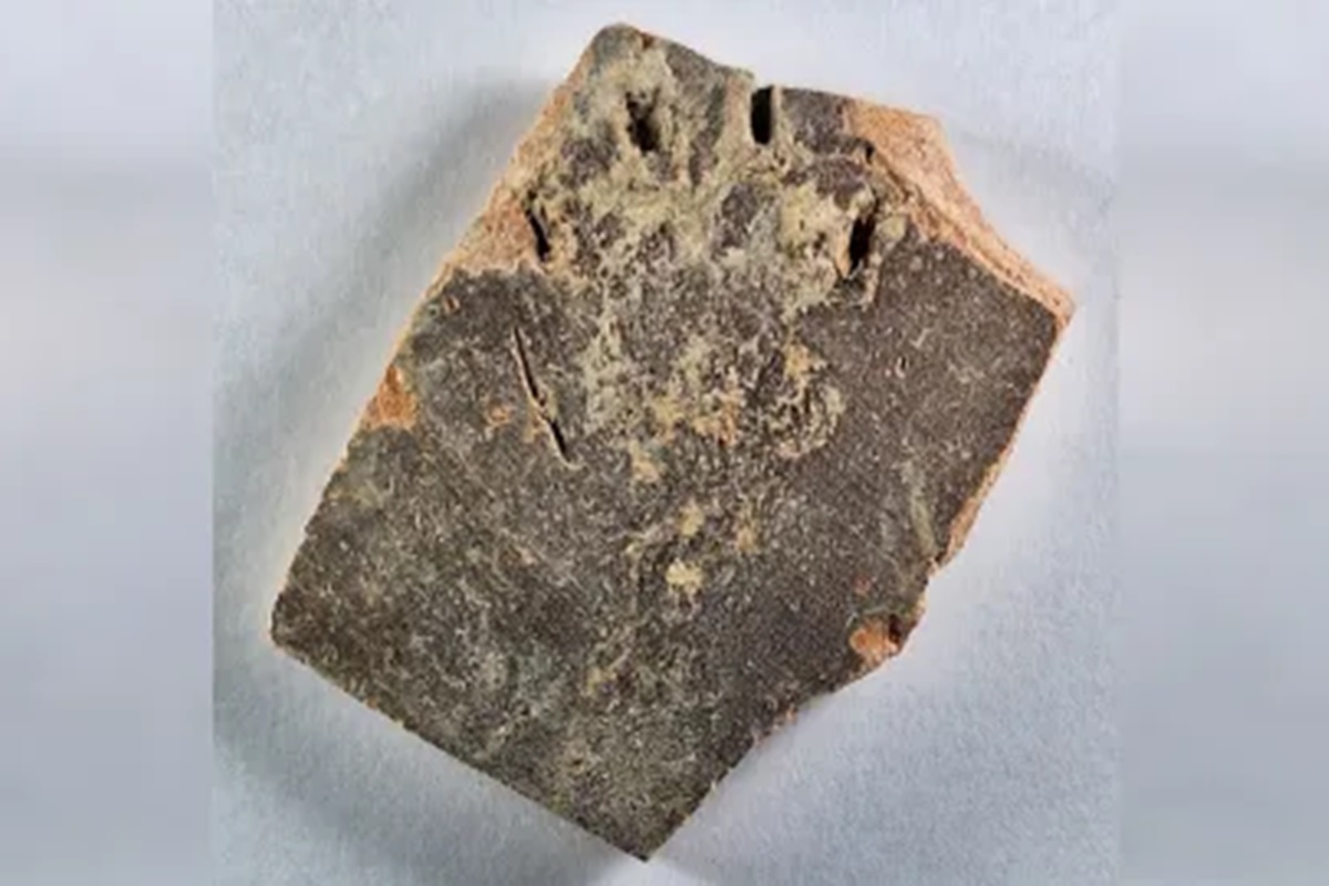 Archeologen vinden oudste bewijs van gelukkige kat in Jeruzalem ...