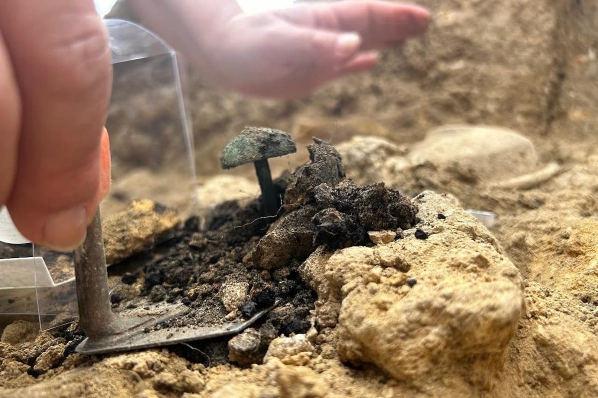 Spijker onthult 2400 jaar oud offerritueel in ruïnestad | historianet.nl