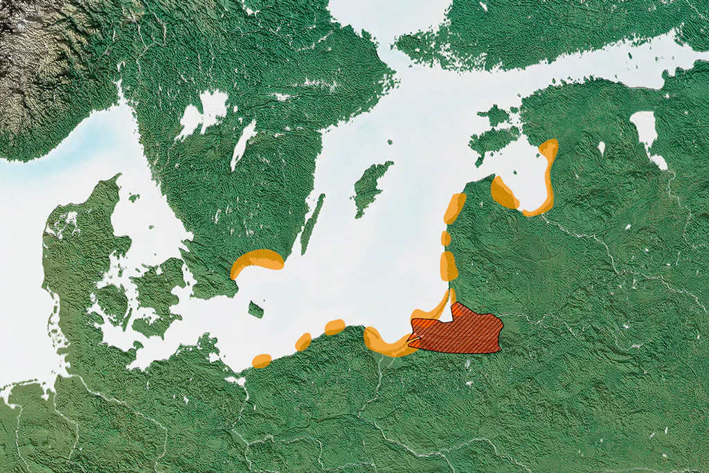 Meripihka: Meripihka-aika päätti kivikauden Pohjoismaissa | historianet.fi