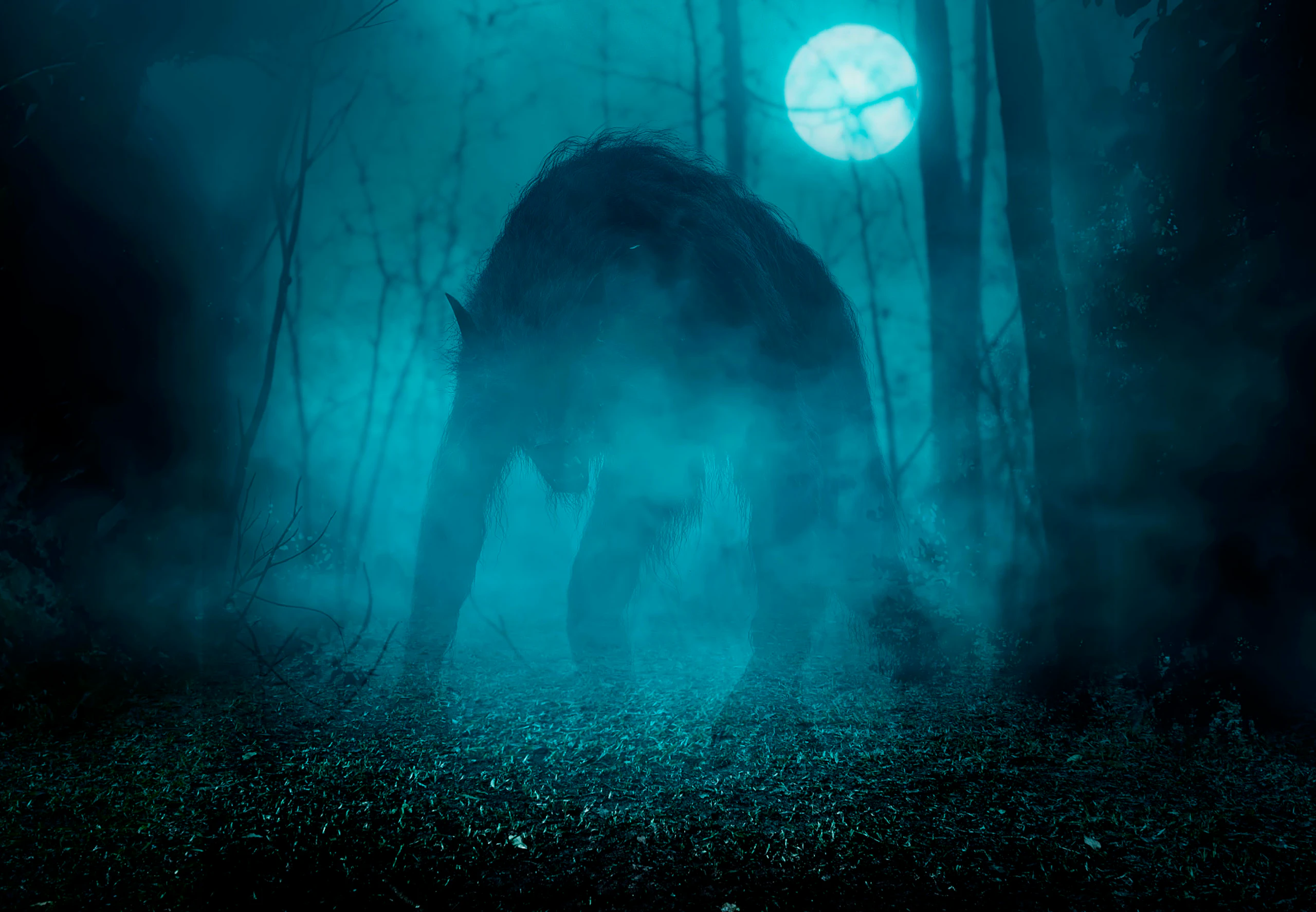 Buff Skinwalker Wat is een skinwalker? | historianet.nl