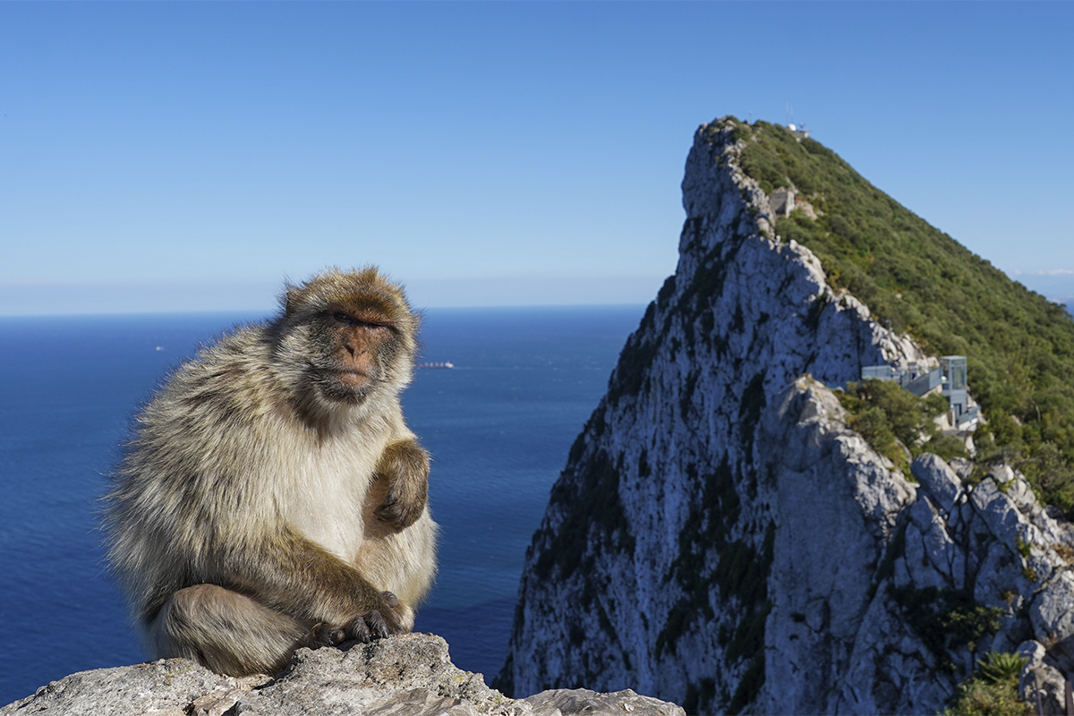 Gibraltar houdt al 300 jaar stand | historianet.nl