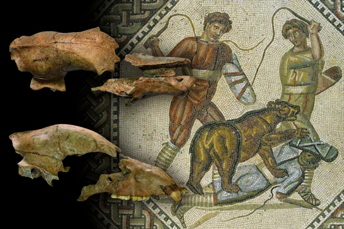 Romeinse Rijk – Het grootste imperium in de geschiedenis | historianet.nl