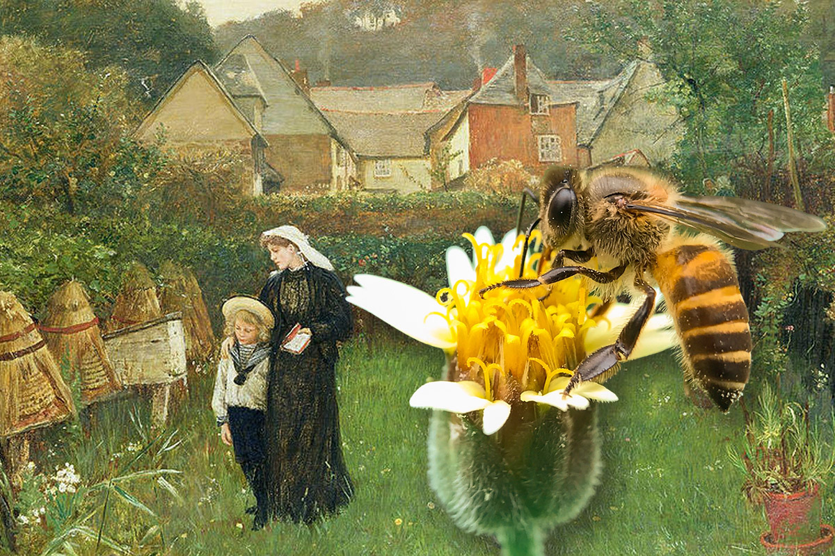 Tieteen kuvalehti Historia