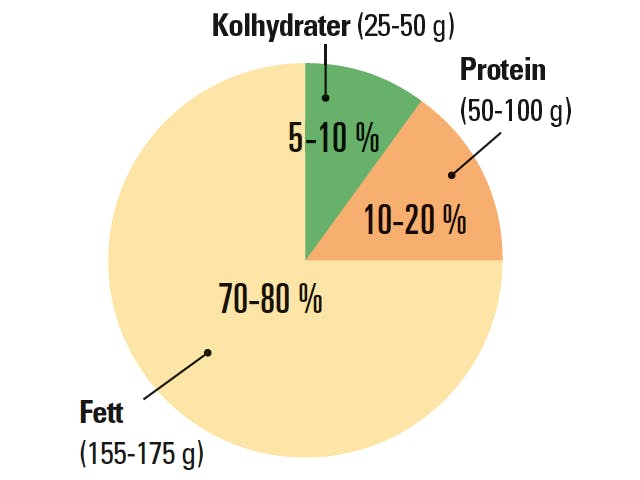 Ketodietens kalorifördeling 