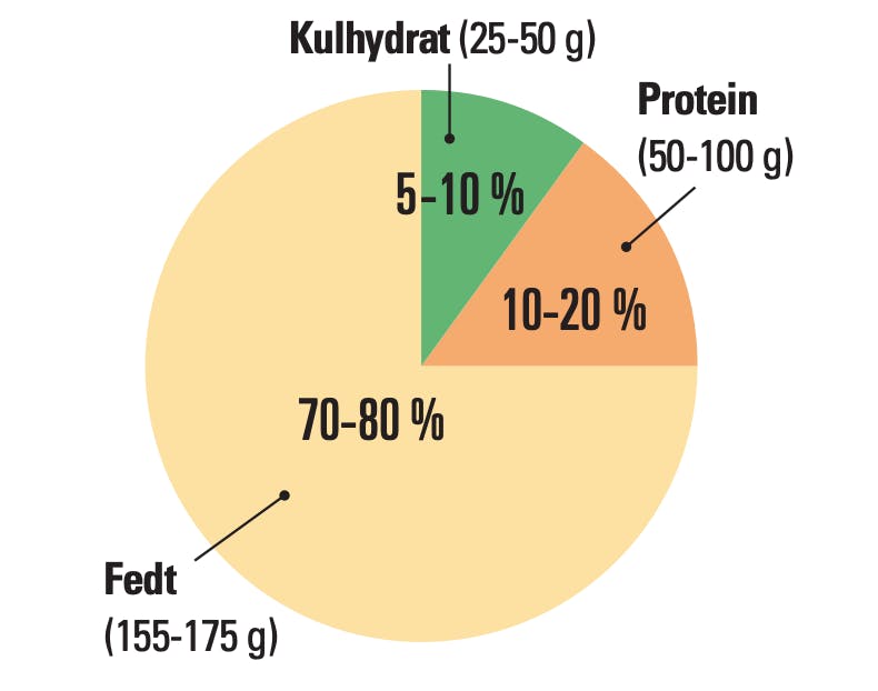 Ketodiætens kaloriefordeling