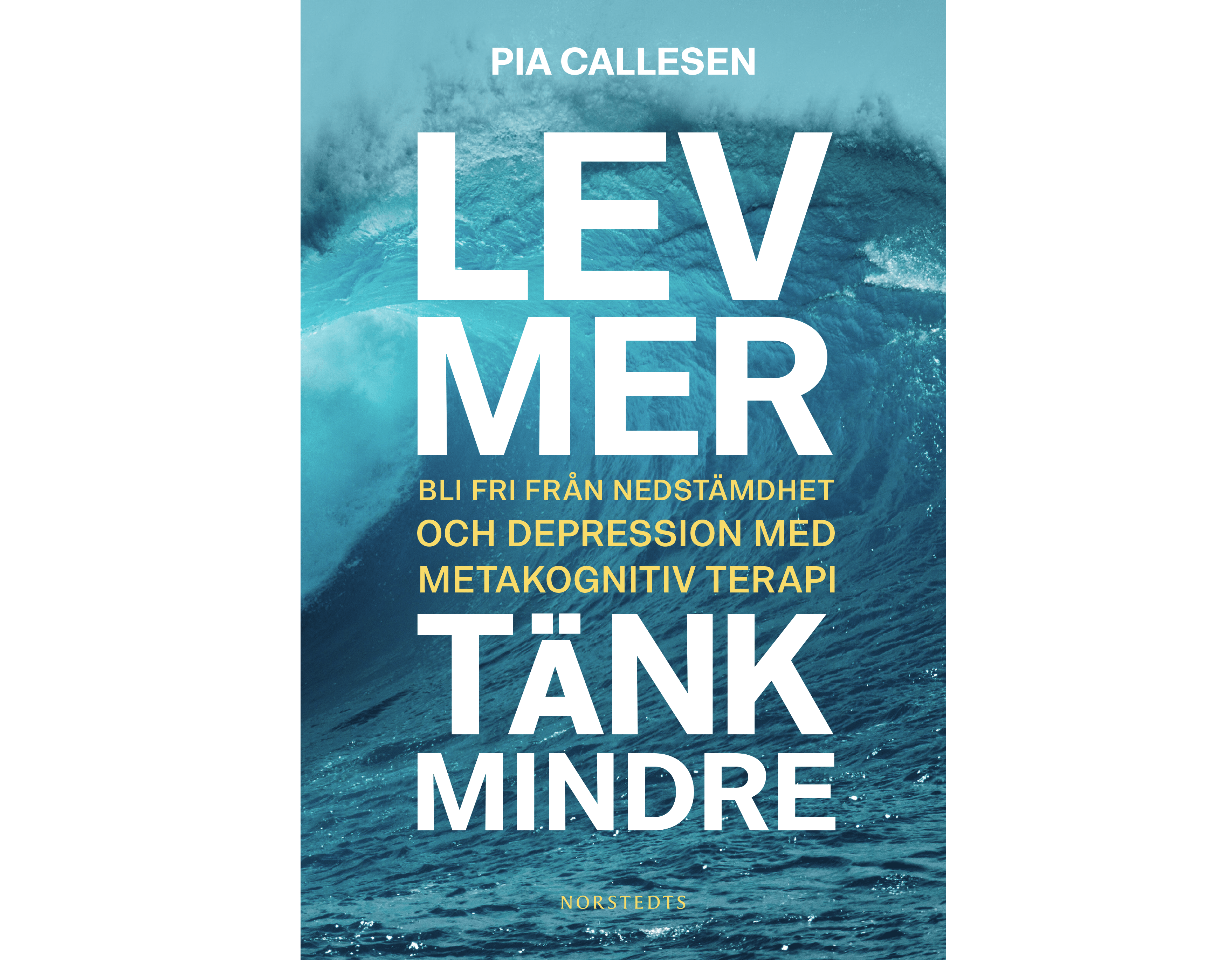 Bok “Lev mer, tänk mindre”