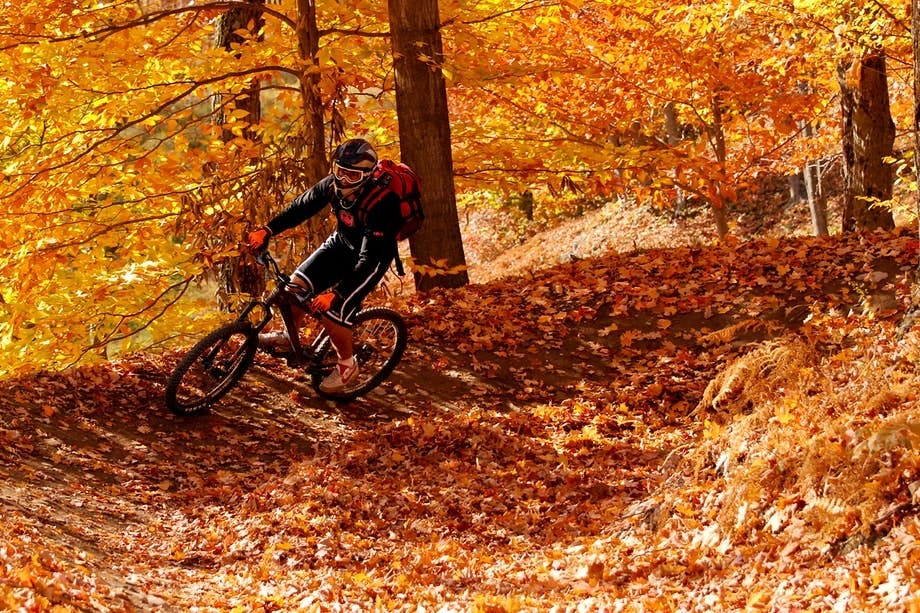 Mountainbike i skoven