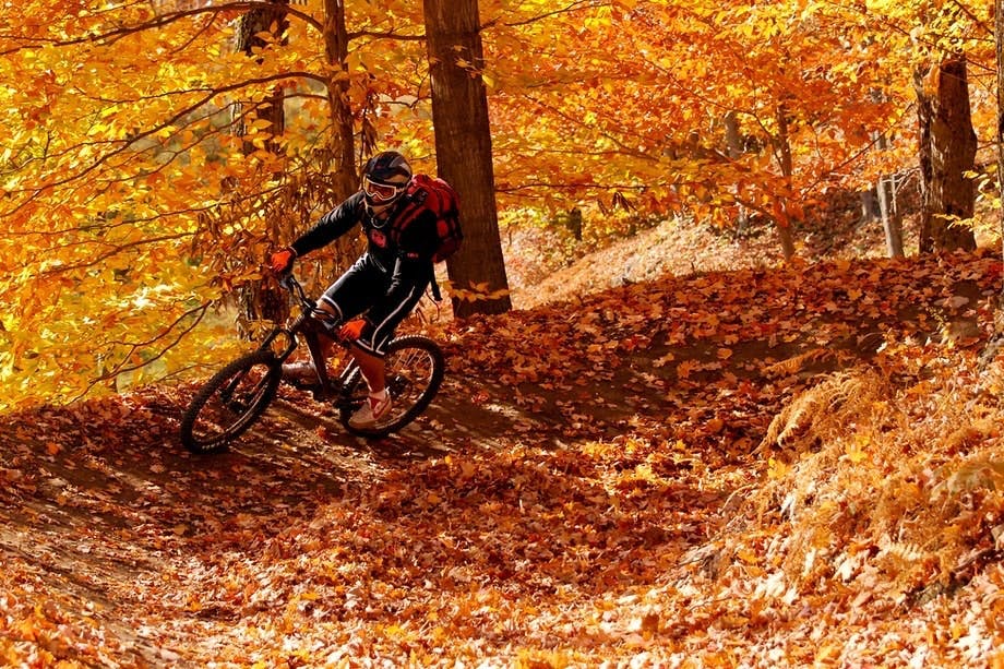 Mountainbike i skogen