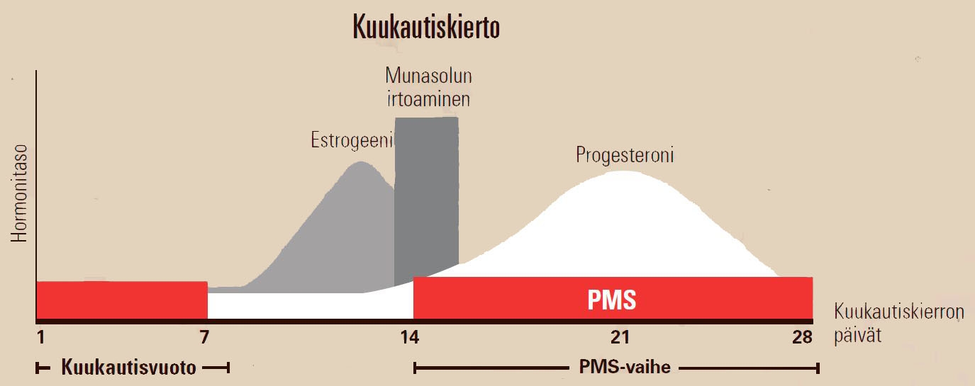 PMS – Ota Hormonit Hallintaan | Kuntoplus.fi