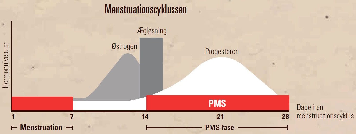 Menstruationscyklussen
