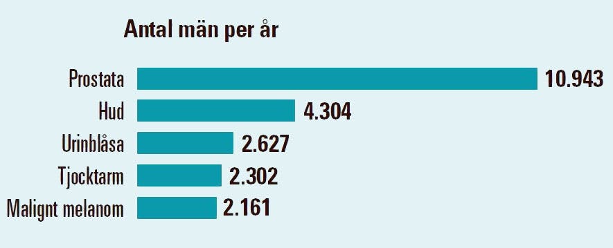 De 5 vanligaste cancerformerna (2018) 