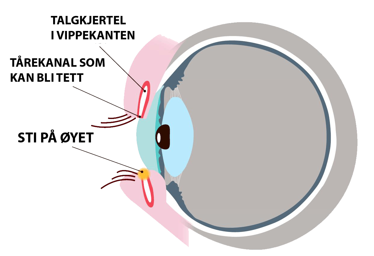 Grafikk av sti på øyet