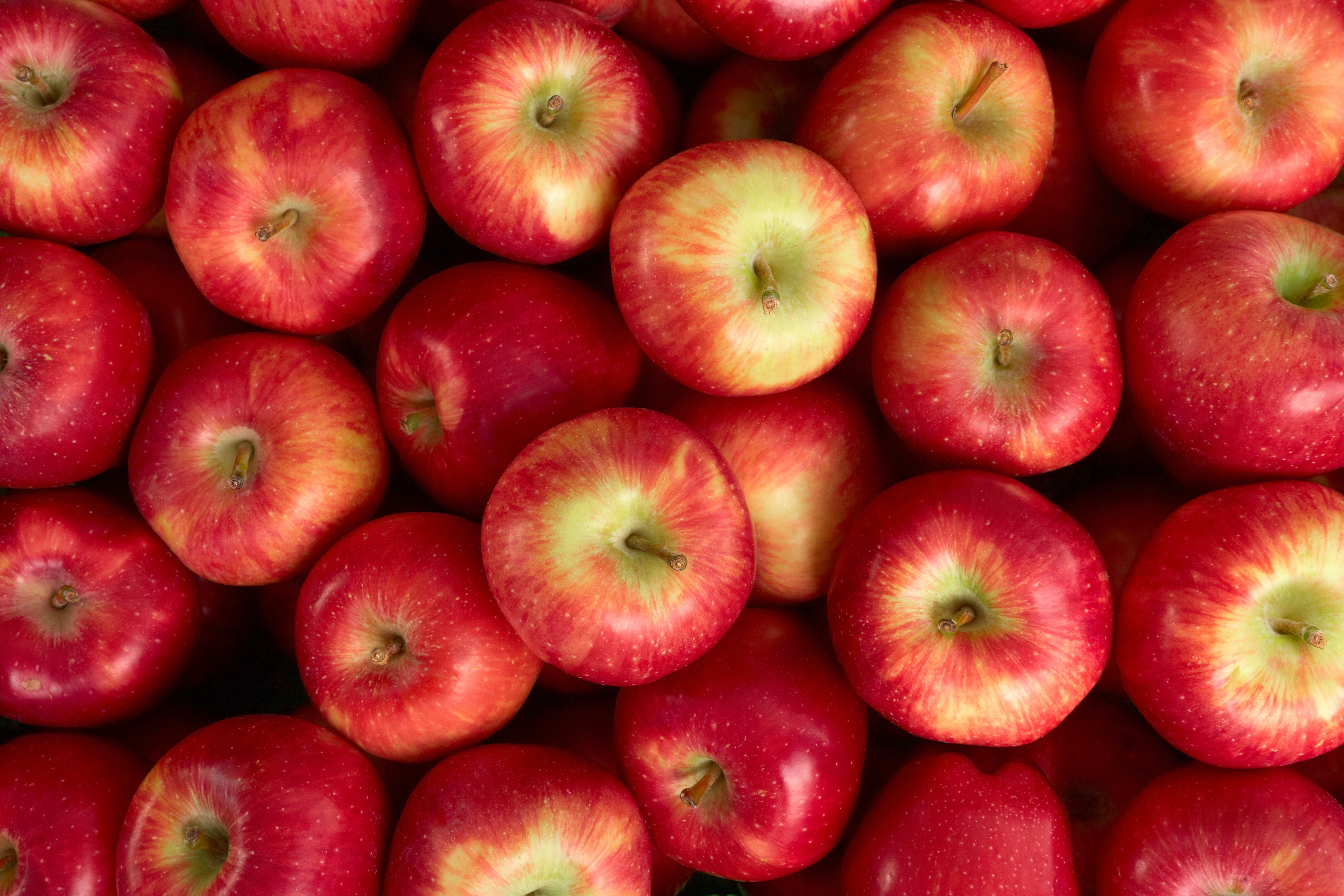 Hur Många Kalorier är Det I Ett äpple