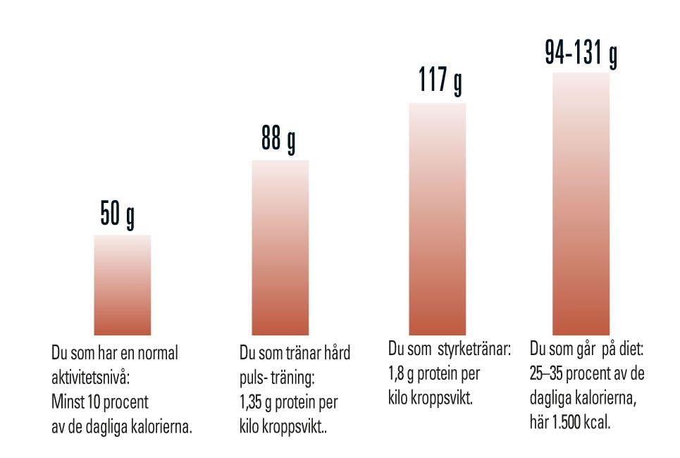 Tabell över hur mycket protein man behöver