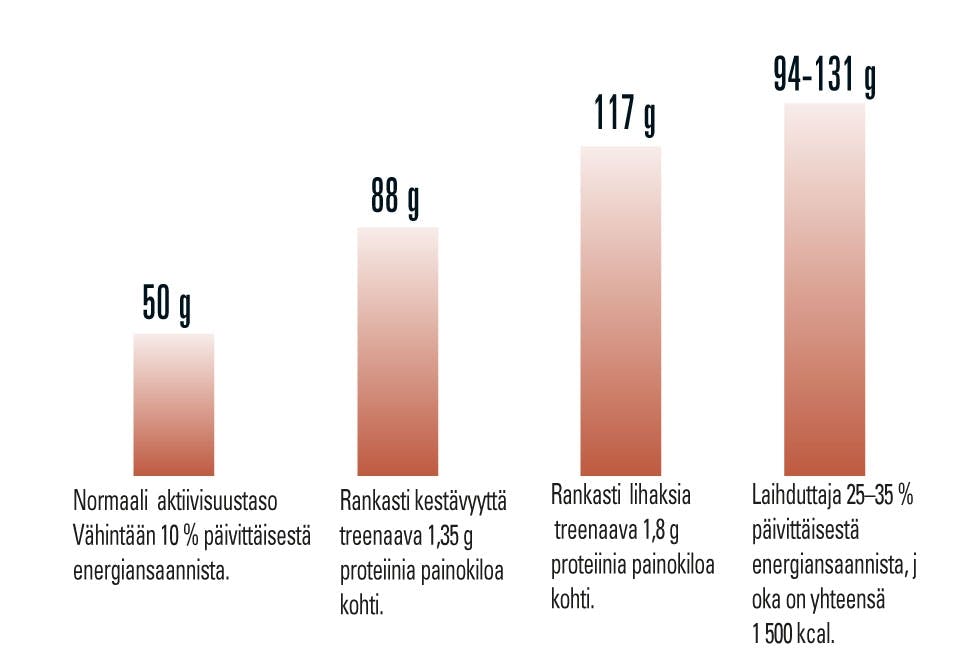 Proteiinintarvetaulukko