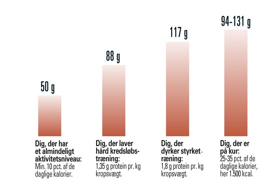 Tabel over hvor meget protein man behøver. 