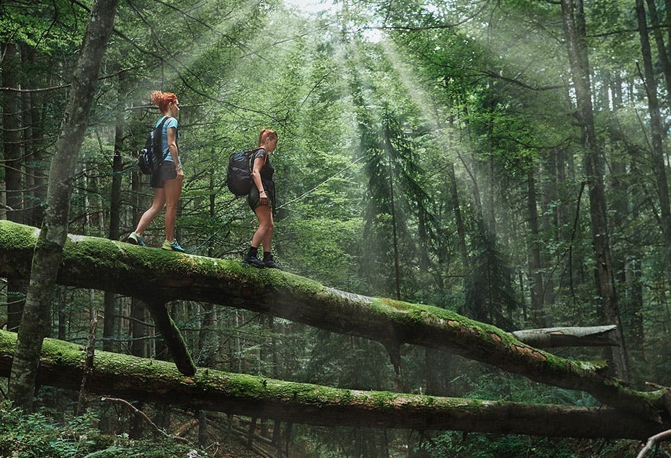 Kaksi naista kävelyllä metsässä